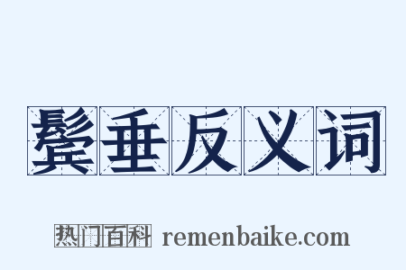 鬓垂反义词是什么意思的图片